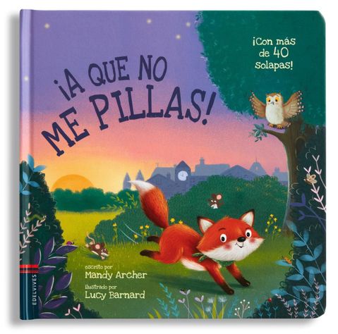 Libro ¡A que no me pillas!-3