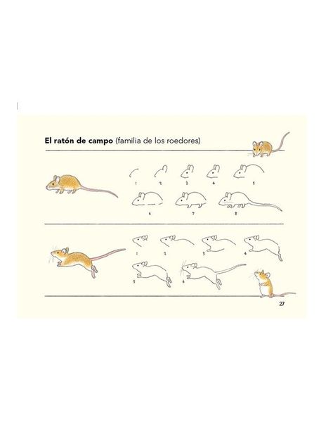 Libro Cómo Son Los Animales Y Cómo Dibujarlos-2