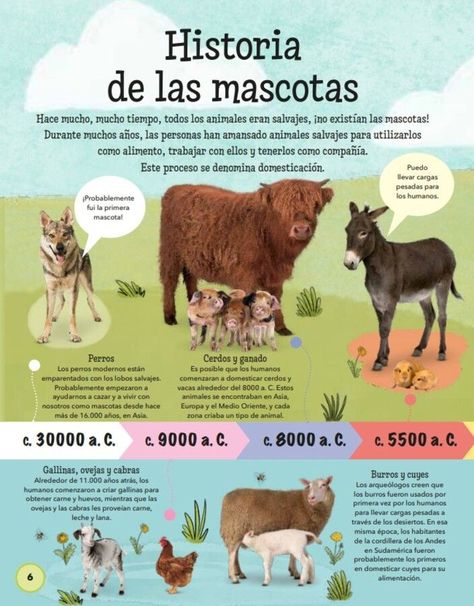 Libro Todo sobre las mascotas-3