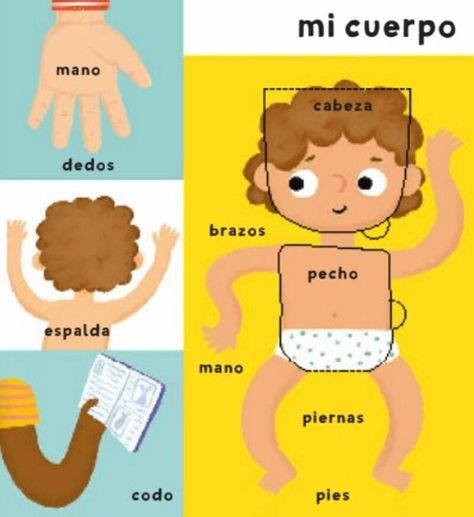 Libro Mi cuerpo. Mis primeras 100 palabras-1