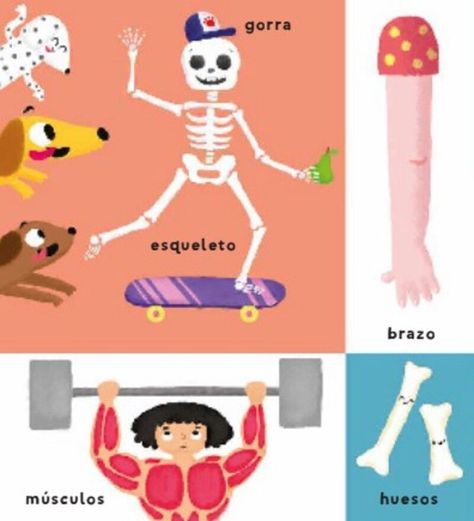 Libro Mi cuerpo. Mis primeras 100 palabras-2
