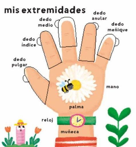 Libro Mi cuerpo. Mis primeras 100 palabras-3