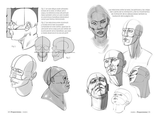 Libro Anatomía Artística 10. Cabeza y Cuello-1