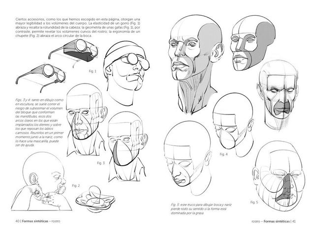 Libro Anatomía Artística 10. Cabeza y Cuello-2