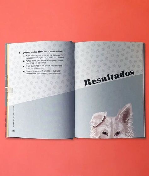 Libro PERSONALIDADES PERRUNAS-7