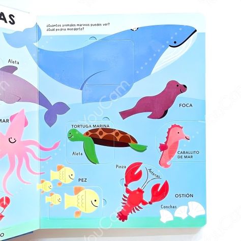 Libro Mi Primer Libro Con Solapas - 100 Animales-2