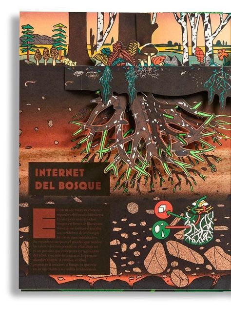 Libro POP-UP BOSQUES-1