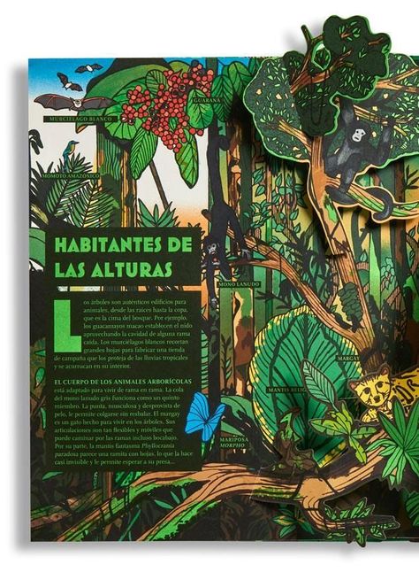 Libro POP-UP BOSQUES-2