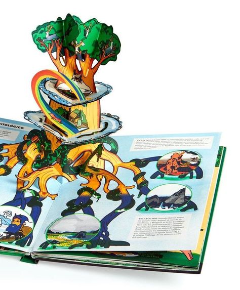 Libro POP-UP BOSQUES-3