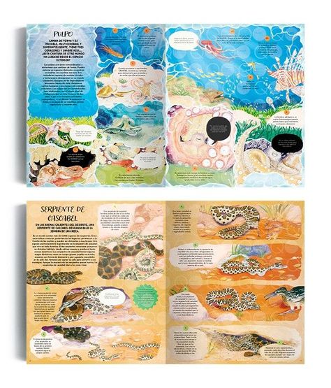 Libro La magia de la naturaleza-2