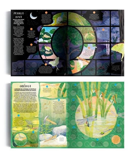 Libro La magia de la naturaleza-3