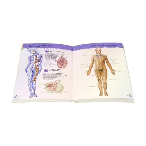 Libro 500 preguntas y respuestas - SOBRE EL CUERPO HUMANO-1