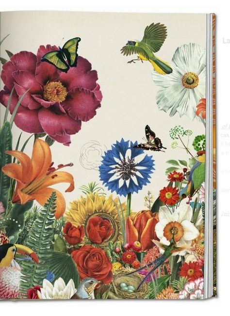 Libro va - esoterica - LA MAGIA DE LAS PLANTAS - E-3