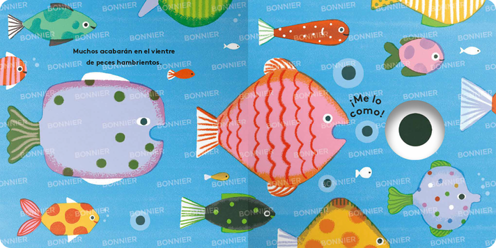Libro Pequeños ciclos de la vida - RANA-2