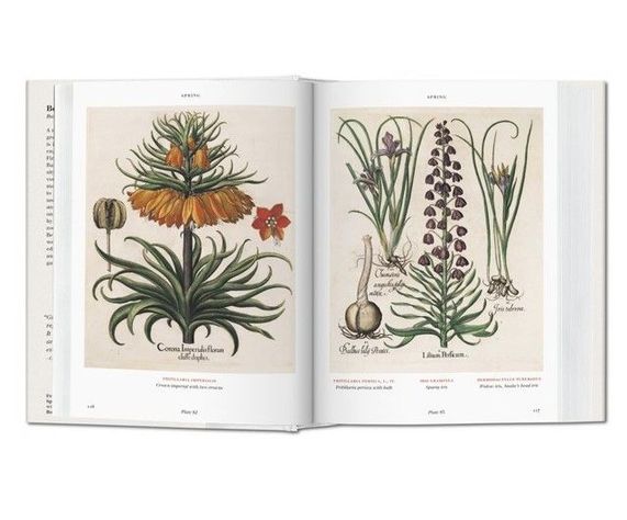Libro Biblioteca Universal - Florilegium-1