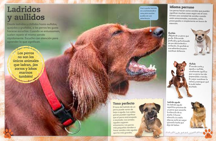 Libro Mi Libro de Perros y Cachorros-1