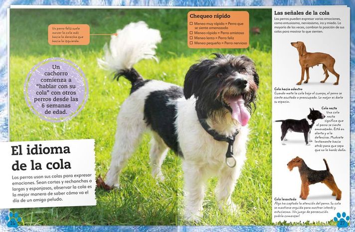 Libro Mi Libro de Perros y Cachorros-2