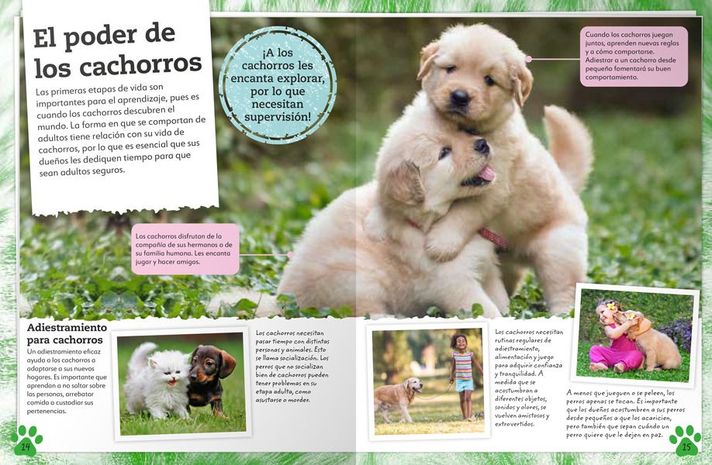 Libro Mi Libro de Perros y Cachorros-3
