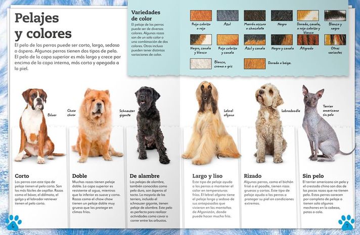 Libro Mi Libro de Perros y Cachorros-5