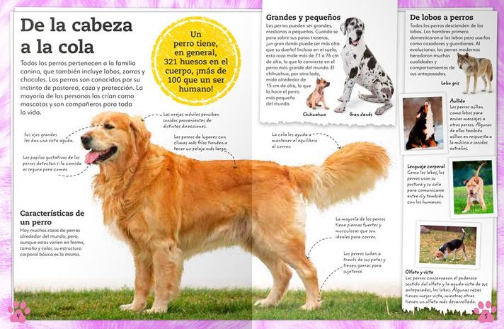 Libro Mi Libro de Perros y Cachorros-6