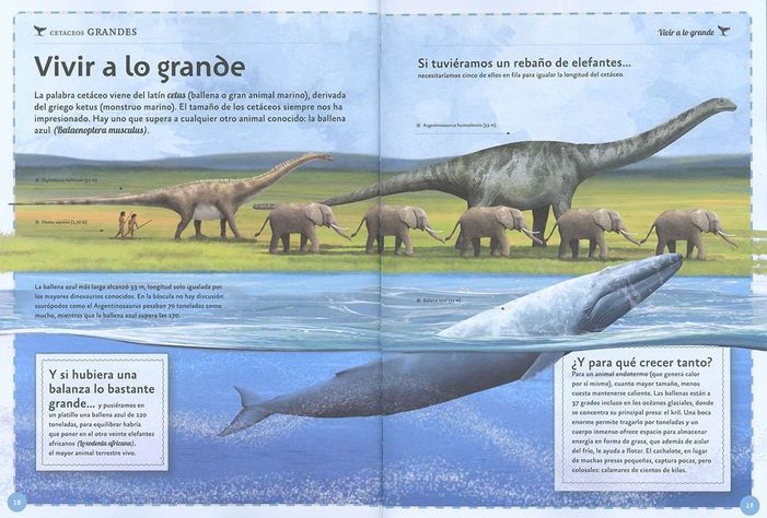 El magnifico libro de las ballenas-1