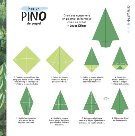 Libro Origami de Flores-2