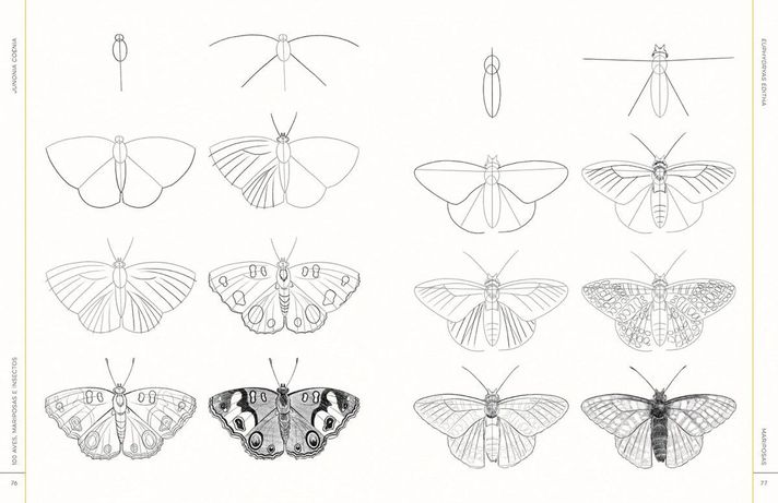 Libro 100 Aves, Mariposas E Insectos-4