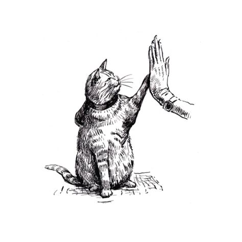 EL PEQUEÑO LIBRO DE BOB. LECCIONES DE VIDA DE UN GATO-3
