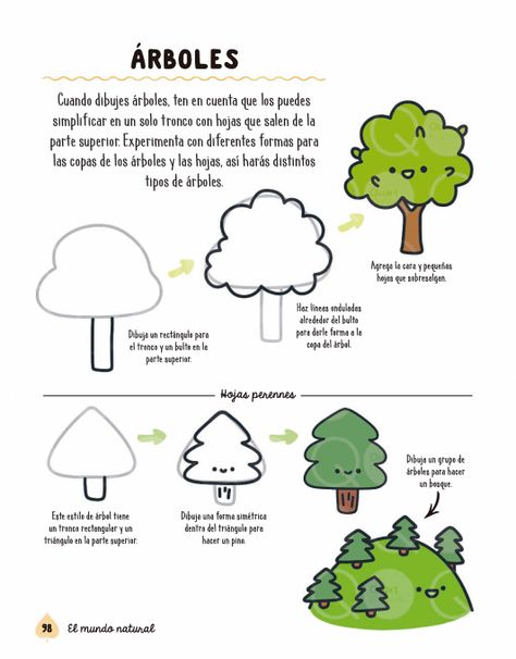 Libro Cómo Dibujar Criaturas del Bosque Lindas-4