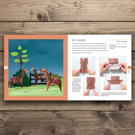 Libro ORIGAMI PARA NIÑOS-1