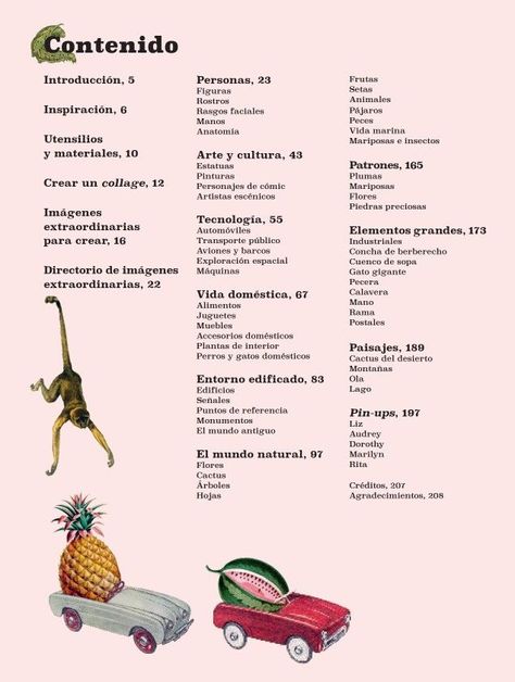 Libro Cosas Extraordinarias Para Recortar Y Hacer Collage-1
