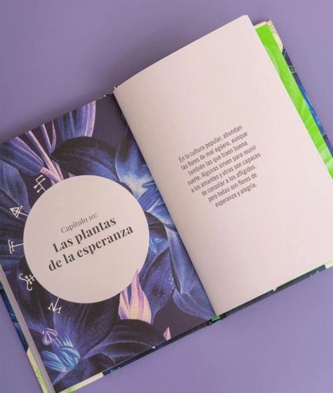 Libro HUERTO DE LAS BRUJAS-1