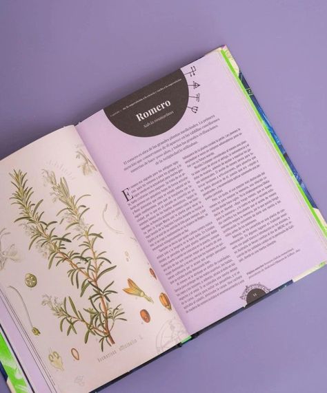 Libro HUERTO DE LAS BRUJAS-2