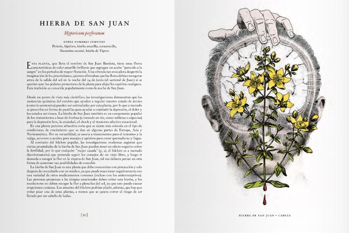 Libro EL JARDIN DE LAS PLANTAS MEDICINALES-1