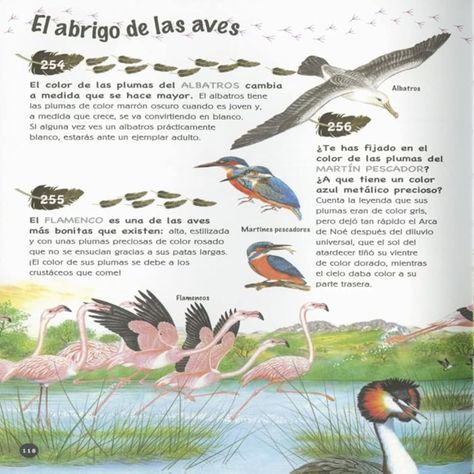 Libro 501 PREGUNTAS Y RESPUESTAS SOBRE LOS ANIMALES-1