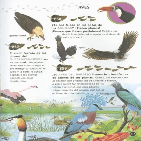 Libro 501 PREGUNTAS Y RESPUESTAS SOBRE LOS ANIMALES-2