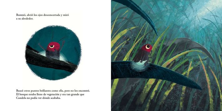 Libro El viaje de Candela-2