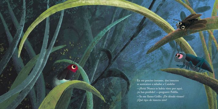 Libro El viaje de Candela-5