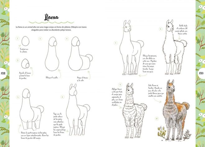 Libro Dibujar En 10 Pasos - Animales-1