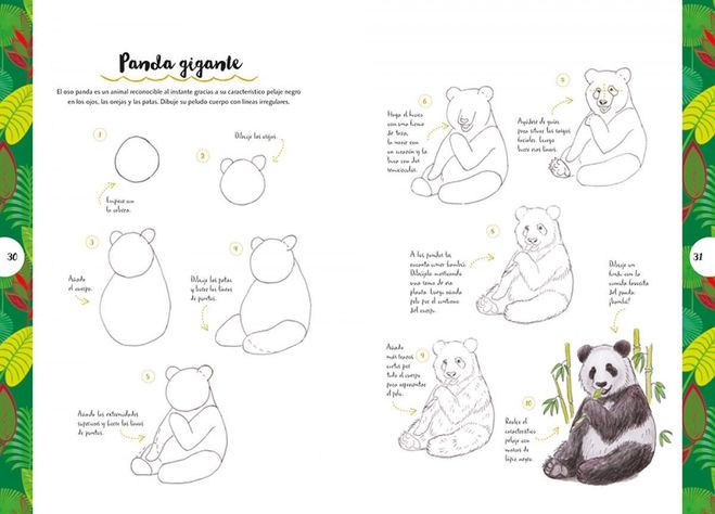 Libro Dibujar En 10 Pasos - Animales-3