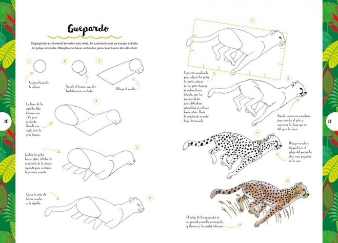 Libro Dibujar En 10 Pasos - Animales-4