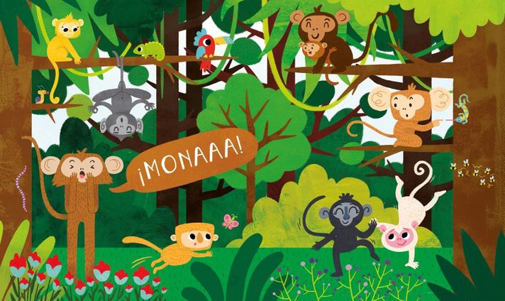 Libro Mona-2