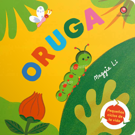 Libro Pequeños ciclos de la vida - ORUGA-0