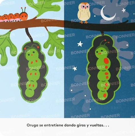Libro Pequeños ciclos de la vida - ORUGA-1