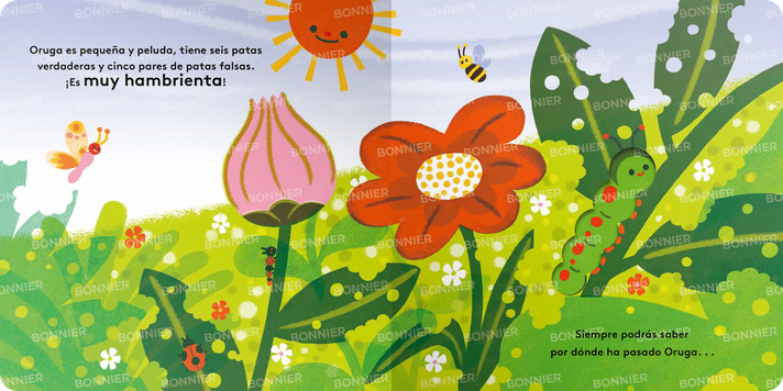 Libro Pequeños ciclos de la vida - ORUGA-2