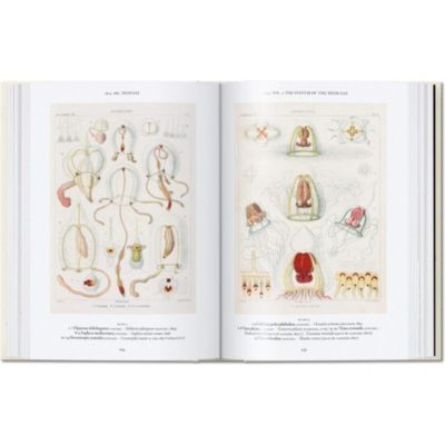 Libro 40 - Ernst Haeckel-1