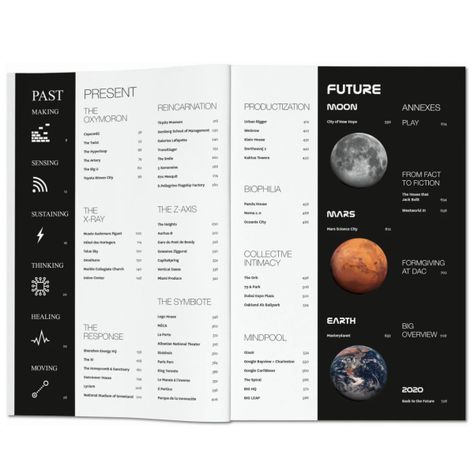 Libro BIG, FORMGIVING-1