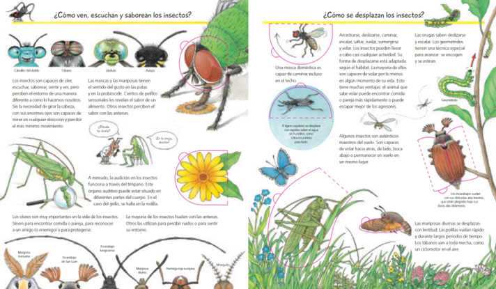 Libro Descubrimos los insectos ¿Qué? ¿Cómo? ¿Por qué?-1