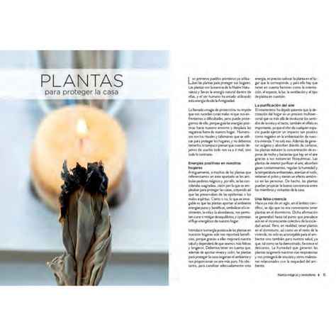 Libro PLANTAS CON PODERES MAGICOS-2