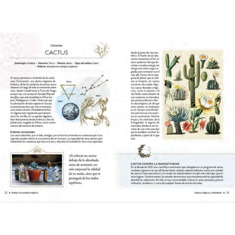 Libro PLANTAS CON PODERES MAGICOS-3